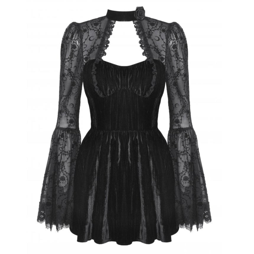 Roses Thorns Gothic Velvet Dress by Dark In Love – The Dark Side