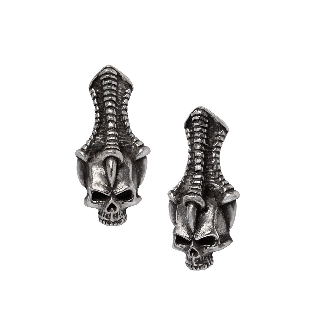 The Trophy Skull Stud Earrings by Alchemy