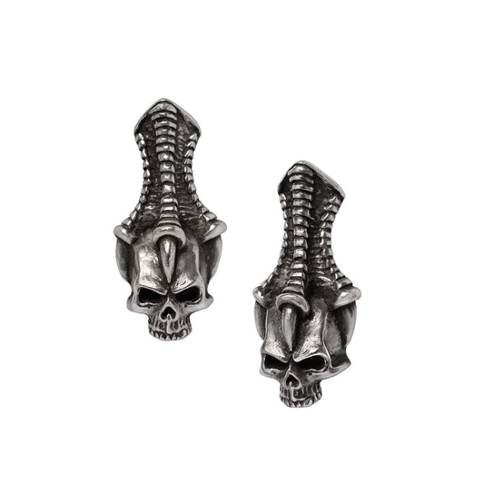 The Trophy Skull Stud Earrings by Alchemy