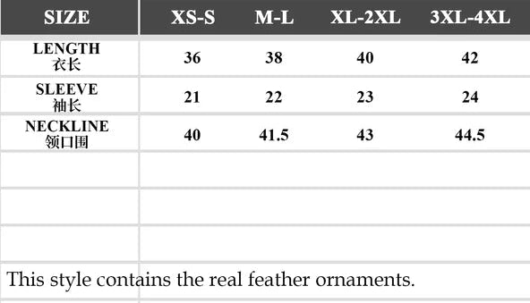 Judith Gothic Rose Velvet Feather Collar Top by Eva Lady