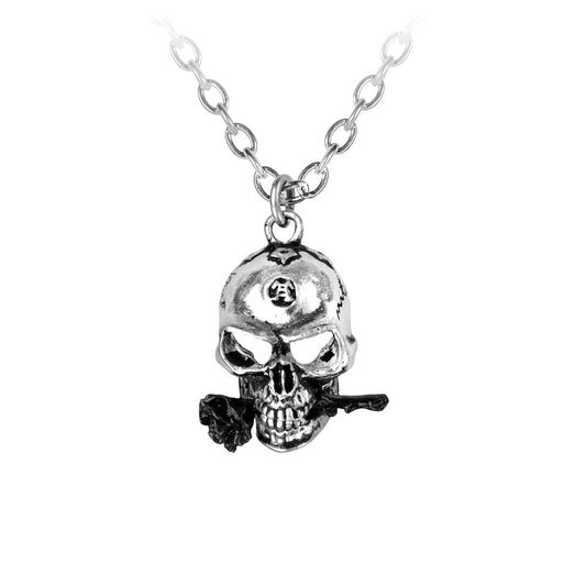 The Alchemist Pendant by Alchemy Gothic