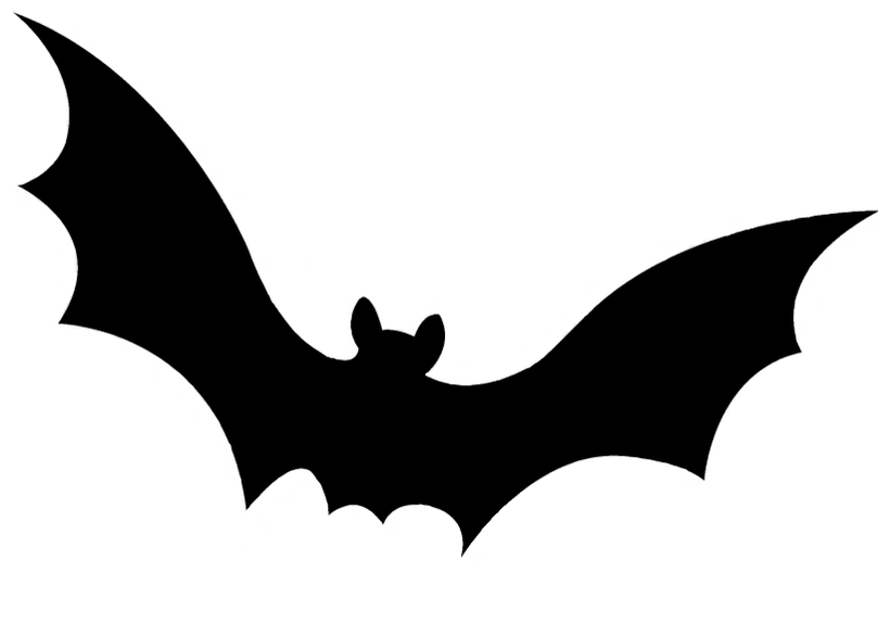 BATS