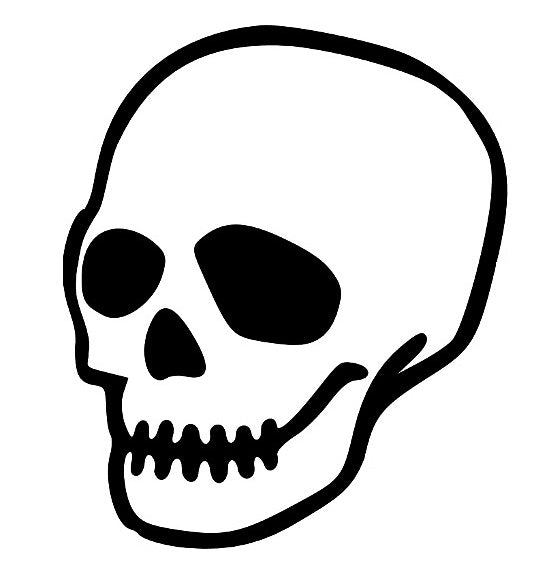 SKULLS &amp; BONES