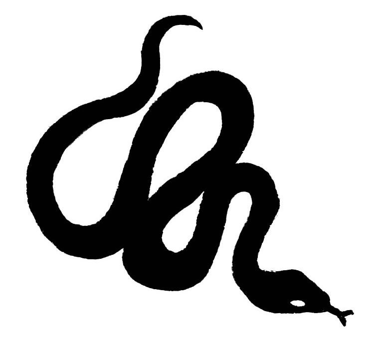 SNAKES
