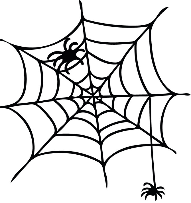 SPIDERS &amp; WEBS