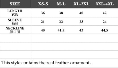 Judith Gothic Rose Velvet Feather Collar Top by Eva Lady