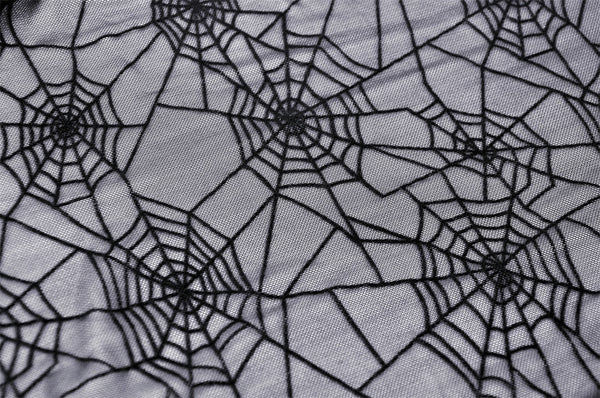 Gothic Spiderweb Mesh Top by Dark In Love