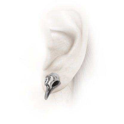 Raven Skull Earrings by Alchemy Gothic