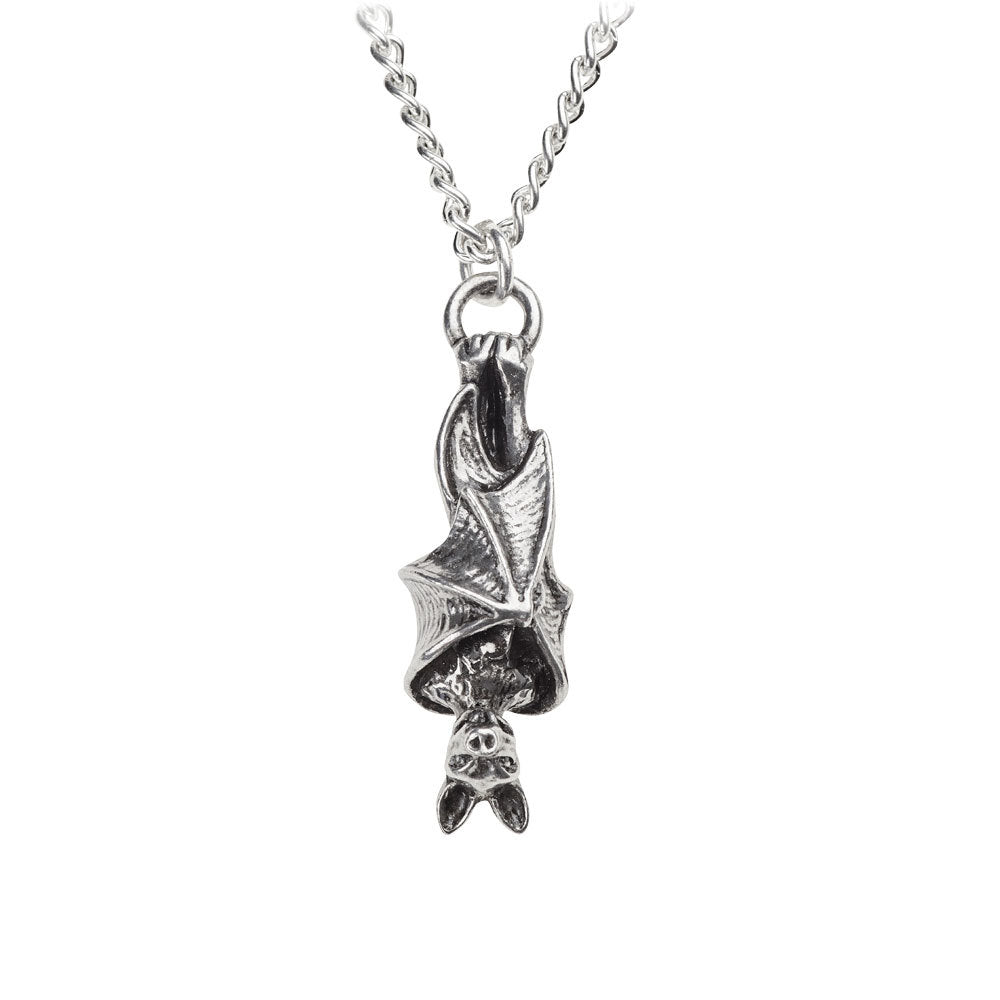 Awaiting The Eventide Pendant Necklace by Alchemy Gothic